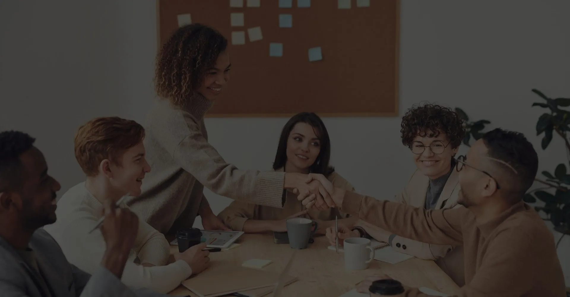 BOOST YOUR PROFESSION 