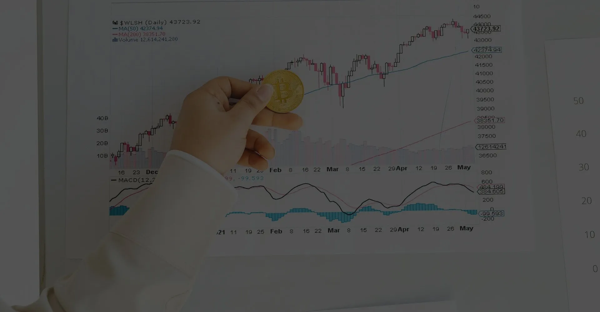 BOOST YOUR PROFESSION 